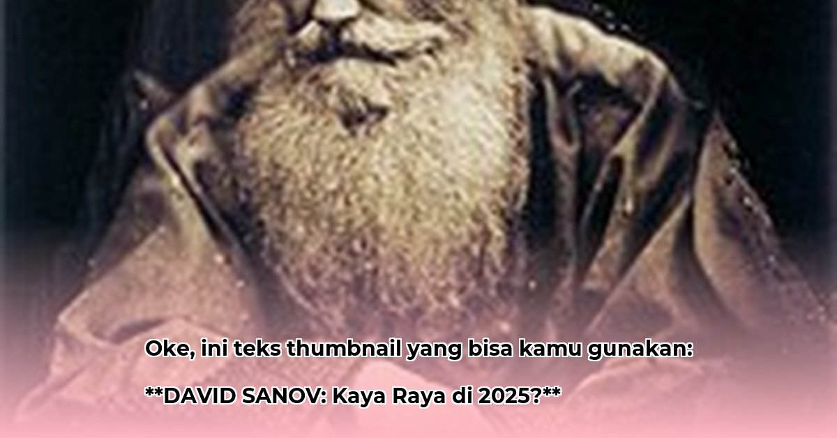 david-sanov-net-worth